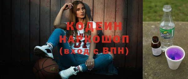 прущие грибы Абинск