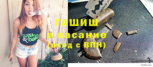 прущие грибы Алзамай