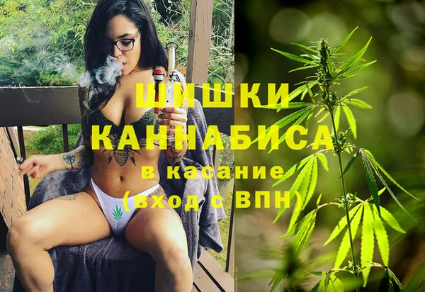 прущие грибы Абинск