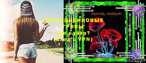 марки lsd Абаза