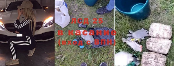 прущие грибы Абинск