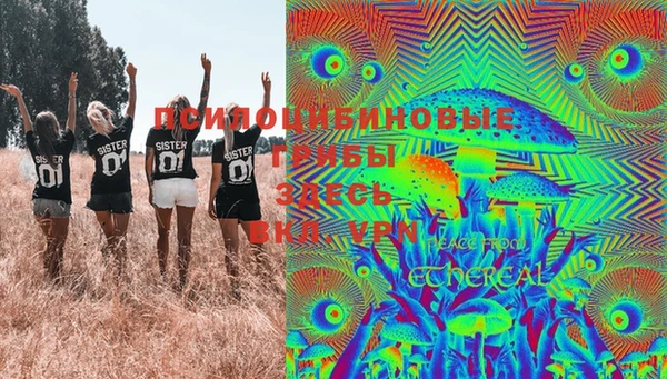 марки lsd Абаза